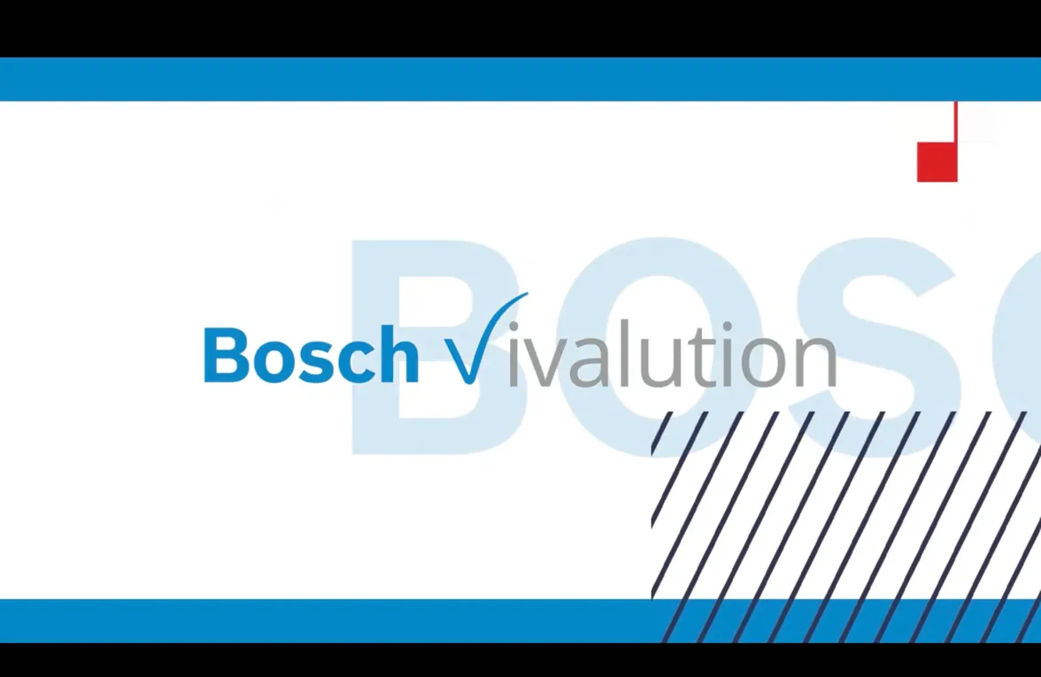 Bosch work, image 1